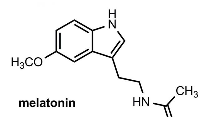 Мелатонин – инструкция по применению, показания, форма выпуска, побочные эффекты, аналоги и цена Мелатонин дозировка в день